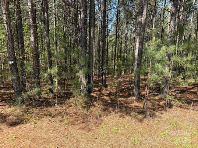 108 Whispering Pines Ln, Home with 0 bedrooms, 0 bathrooms and null parking in Mooresboro NC | Image 4