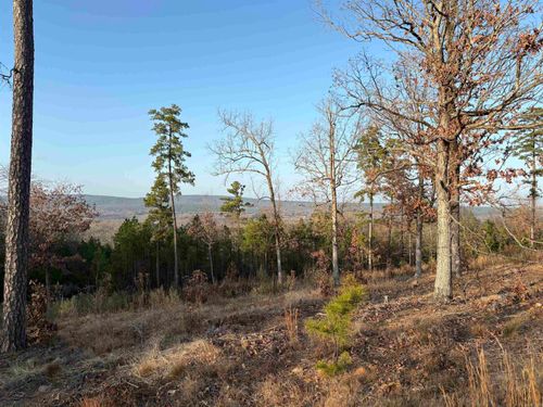 21216 Valley View Cv, Roland, AR, 72135-9049 | Card Image