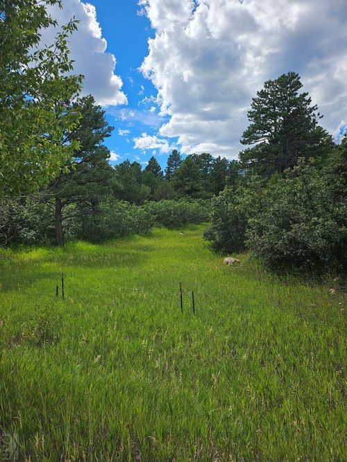 0 No Site Address, Rye, CO, 81069 | Card Image