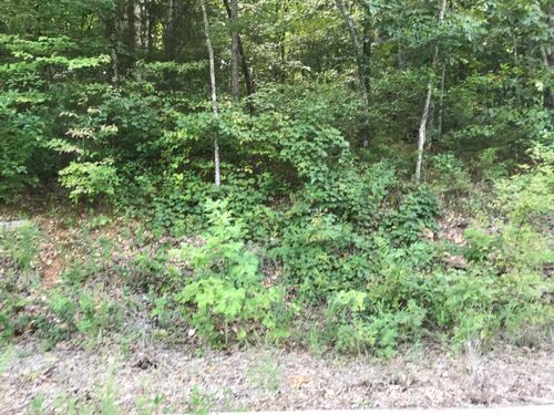 Lot 235 Crescent Dr, Hollister, MO, 65672 | Card Image