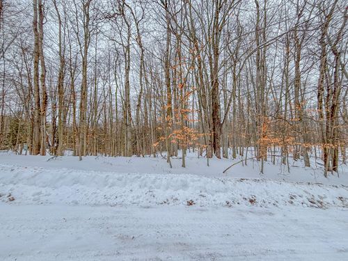 387-12329 Wagon Wheel Trail, Canadian Lakes, MI, 49346 | Card Image