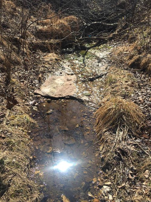 Tract 3 Ramblewood Trail, Yellville, AR, 72687 | Card Image
