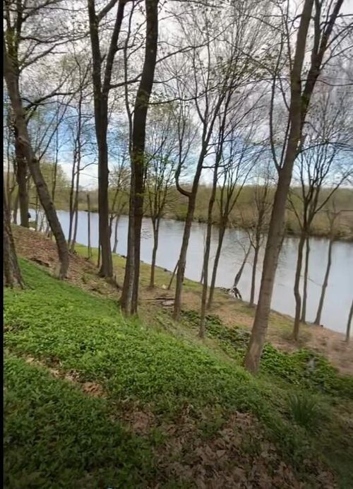 2348 Spring Arbor, Saint Joseph, MI, 49085-9675 | Card Image