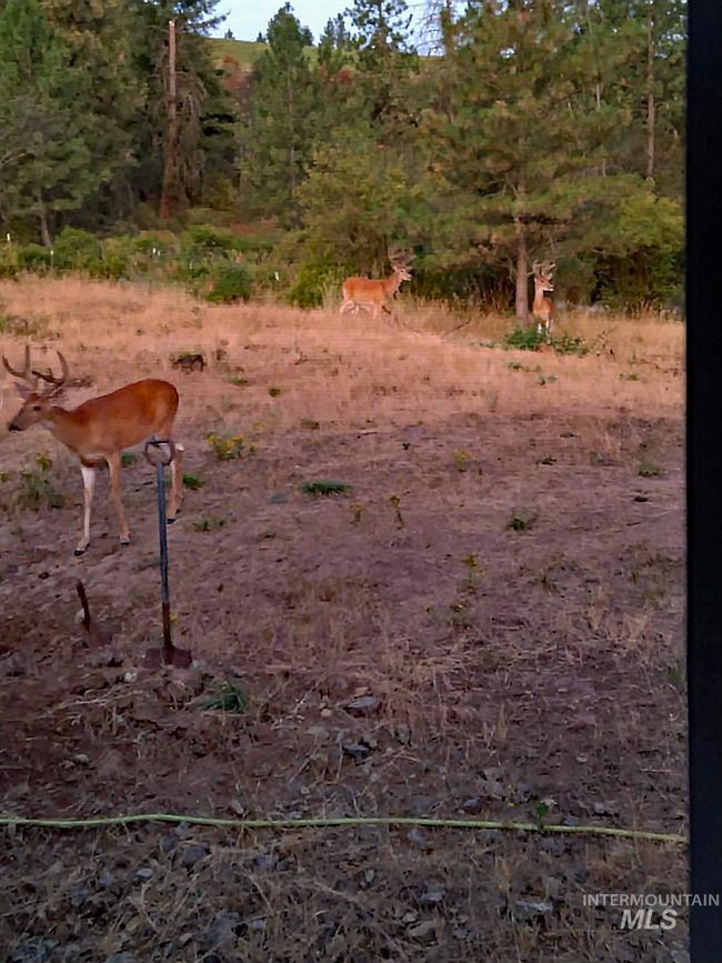 View of yard | Image 45