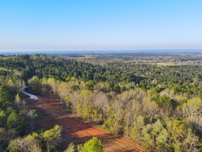 99 Cr 2107, Home with 0 bedrooms, 0 bathrooms and null parking in Rusk TX | Image 10