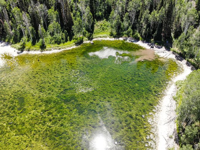Drone / aerial view featuring a wooded view and a water view | Image 21