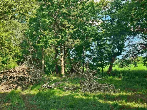 000 S Anterier Rd, Oregon, IL, 61061 | Card Image