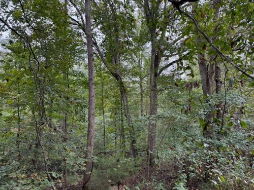 19.3 Crowd Rd, Danville, AL, 35619 | Card Image