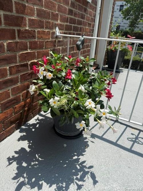 upper-131-03 233 Rd Road, New York, NY, 11422 | Card Image