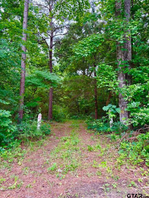 TBD County Road 4504, Jacksonville, TX, 75766 | Card Image