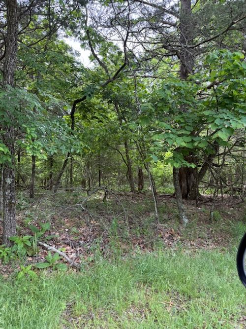 Lot 67 Rocky Ridge Pl, Garfield, AR, 72732 | Card Image