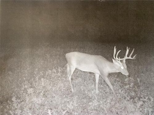 000 County Road 515, Mc Gee, MO, 63763 | Card Image