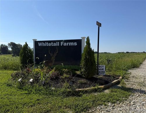 Lot 6 Whitetail Farms, Wentzville, MO, 63385 | Card Image