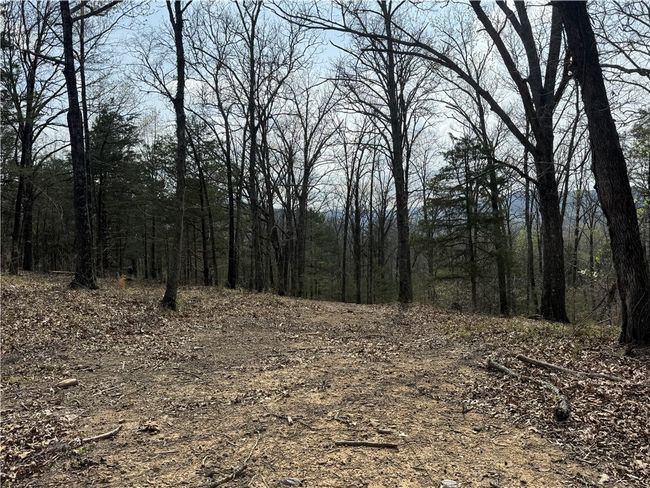 783 Nc 8400, House other with 2 bedrooms, 1 bathrooms and null parking in Jasper AR | Image 48