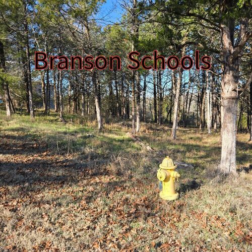 000 Cedar Ln, Rockaway Beach, MO, 65740 | Card Image