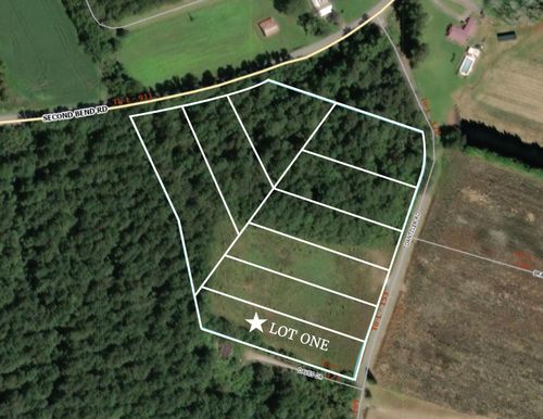 Lot 1 Dantzler Rd, Harleyville, SC, 29448 | Card Image