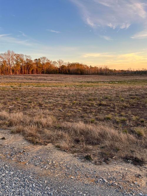LOT 8 1 AC Patton Creek Rd., Waynesboro, MS, 39367 | Card Image
