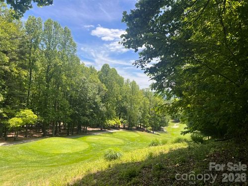 45-115 Bobby Jones Dr, Hendersonville, NC, 28739-8938 | Card Image