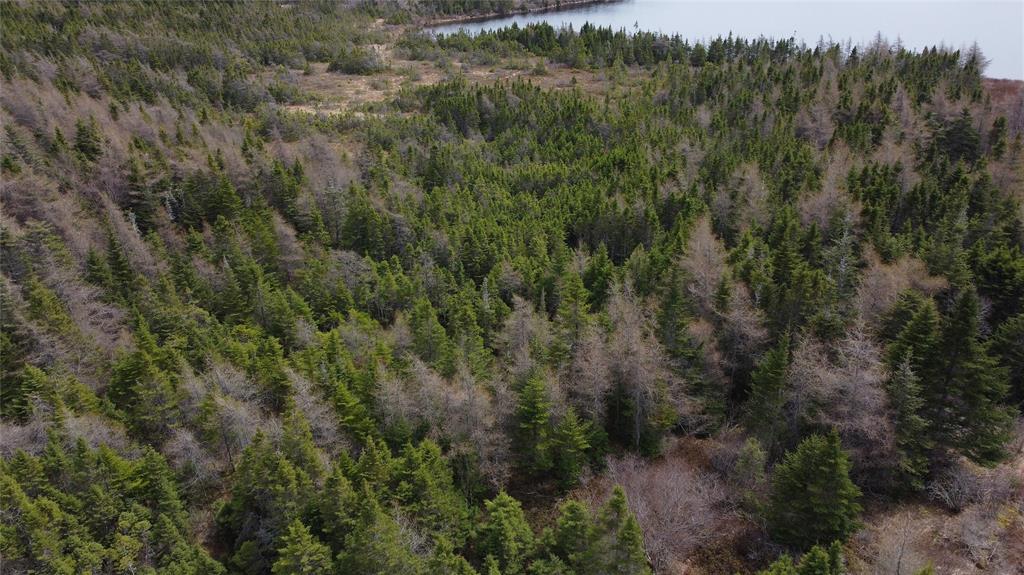 Land in North River 2