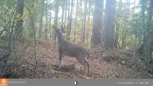793 Carver Point Rd, Coffeeville, MS, 38922 | Card Image
