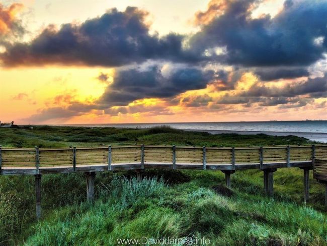 Step onto the beach from your doorstep for serene daily walks. | Image 25