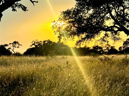 TBD Tract 11 Cattleman'S Crossing Drive, Kerrville, TX, 78028 | Card Image