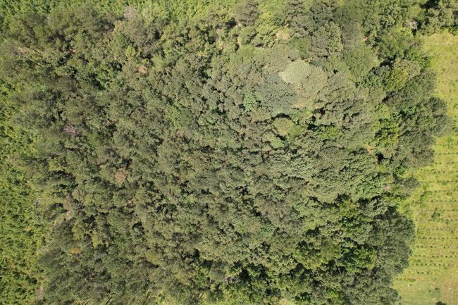 00_SCR_504-10 | Image 10