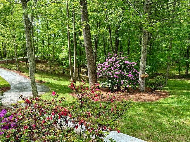 23677 Archery Range Rd, House other with 3 bedrooms, 3 bathrooms and 4 parking in Bristol VA | Image 13