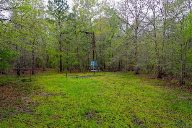 0 E Us Highway 80, Home with 0 bedrooms, 0 bathrooms and null parking in Big Sandy TX | Image 5