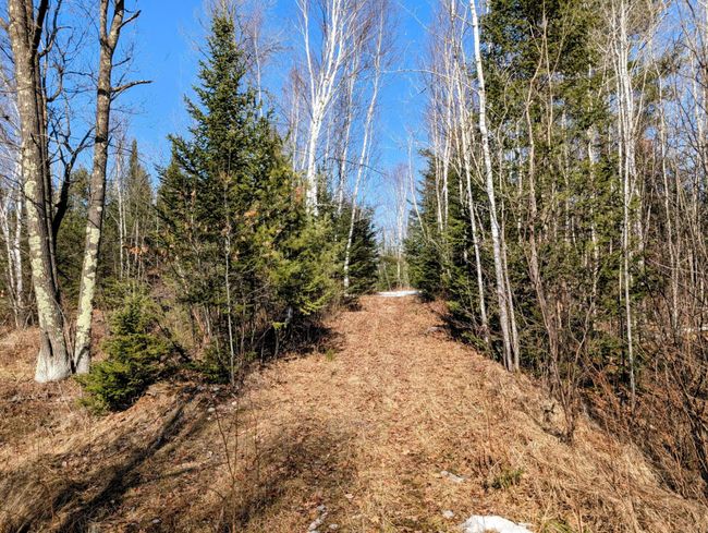 N12912 State Highway 13, House other with 2 bedrooms, 1 bathrooms and null parking in Fifield WI | Image 16