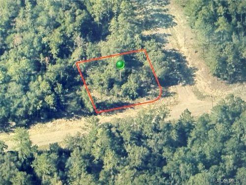 746 E Elston Pl, Citrus Springs, FL, 34434 | Card Image