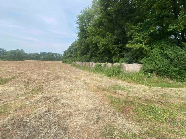Lt 14 Southfork Hwy 27 North Highway, Home with 0 bedrooms, 0 bathrooms and null parking in Story AR | Image 11