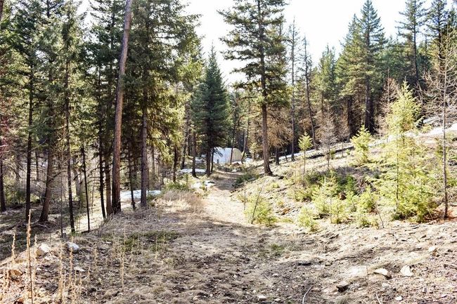 270 Tomahawk Trl, Home with 0 bedrooms, 0 bathrooms and null parking in Fortine MT | Image 10