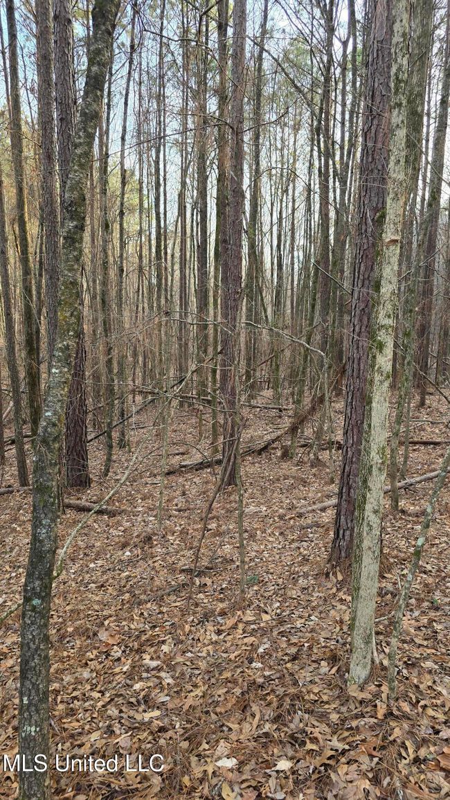 20250128_161025 | Image 17