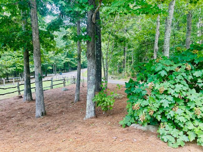0 Still Creek Rd, Home with 0 bedrooms, 0 bathrooms and null parking in Rising Fawn GA | Image 9