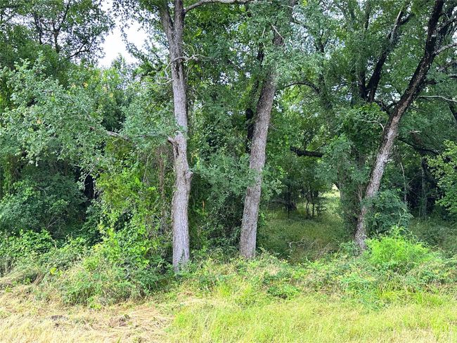 Lot 6 & TBD BTSLP# Emerald Lane, Home with 0 bedrooms, 0 bathrooms and null parking in Corsicana TX | Image 27