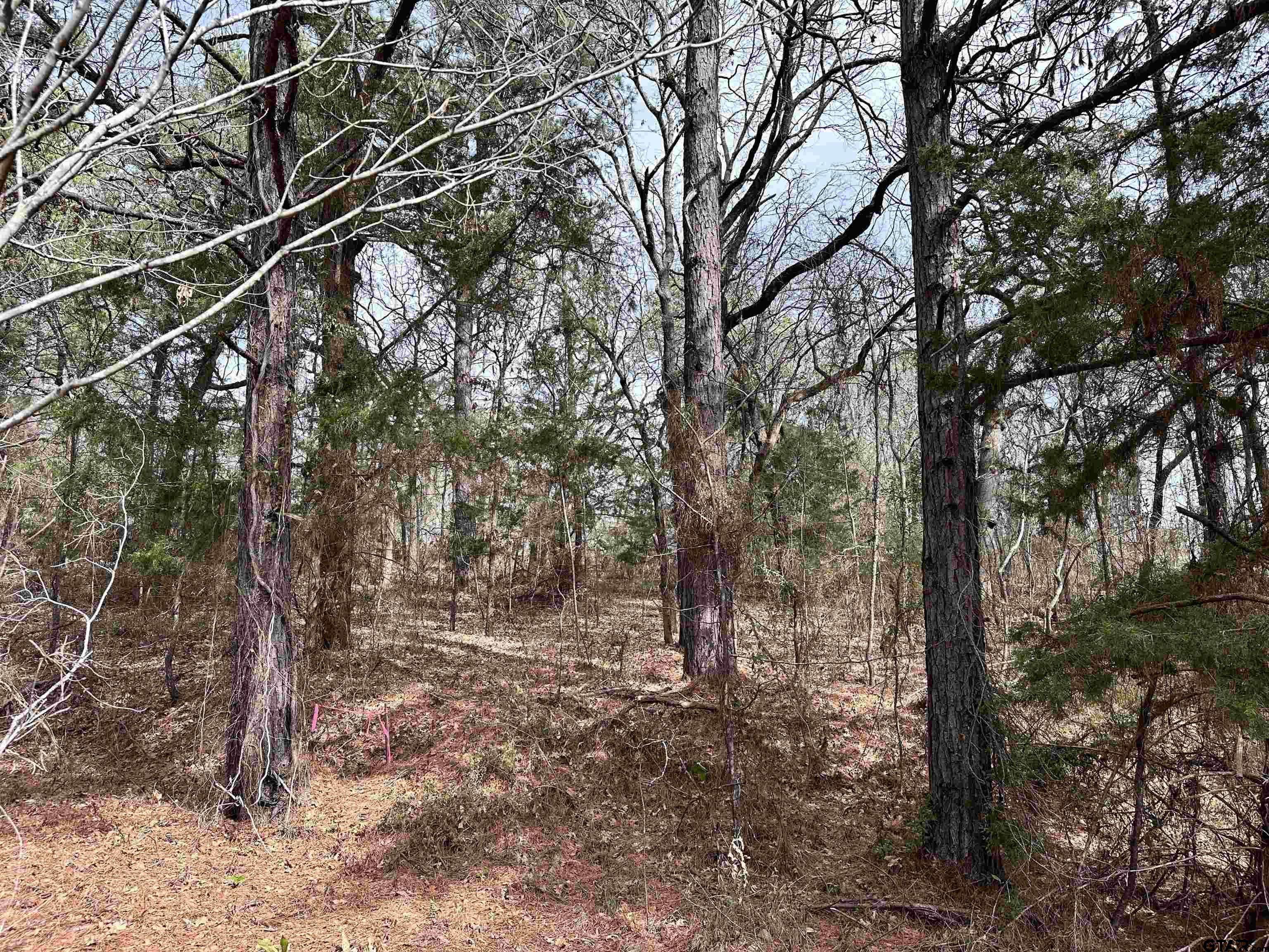 Village Park Way, Flint, TX 75762