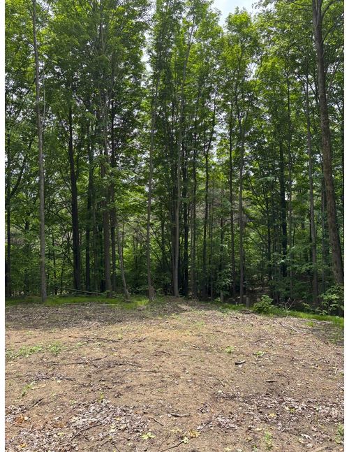 Parcel A N 45 Road, Cedar Creek Township, MI, 49663 | Card Image