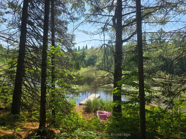 1134 Walker Line Rd, Home with 0 bedrooms, 0 bathrooms and null parking in Algonquin Highlands ON | Image 10