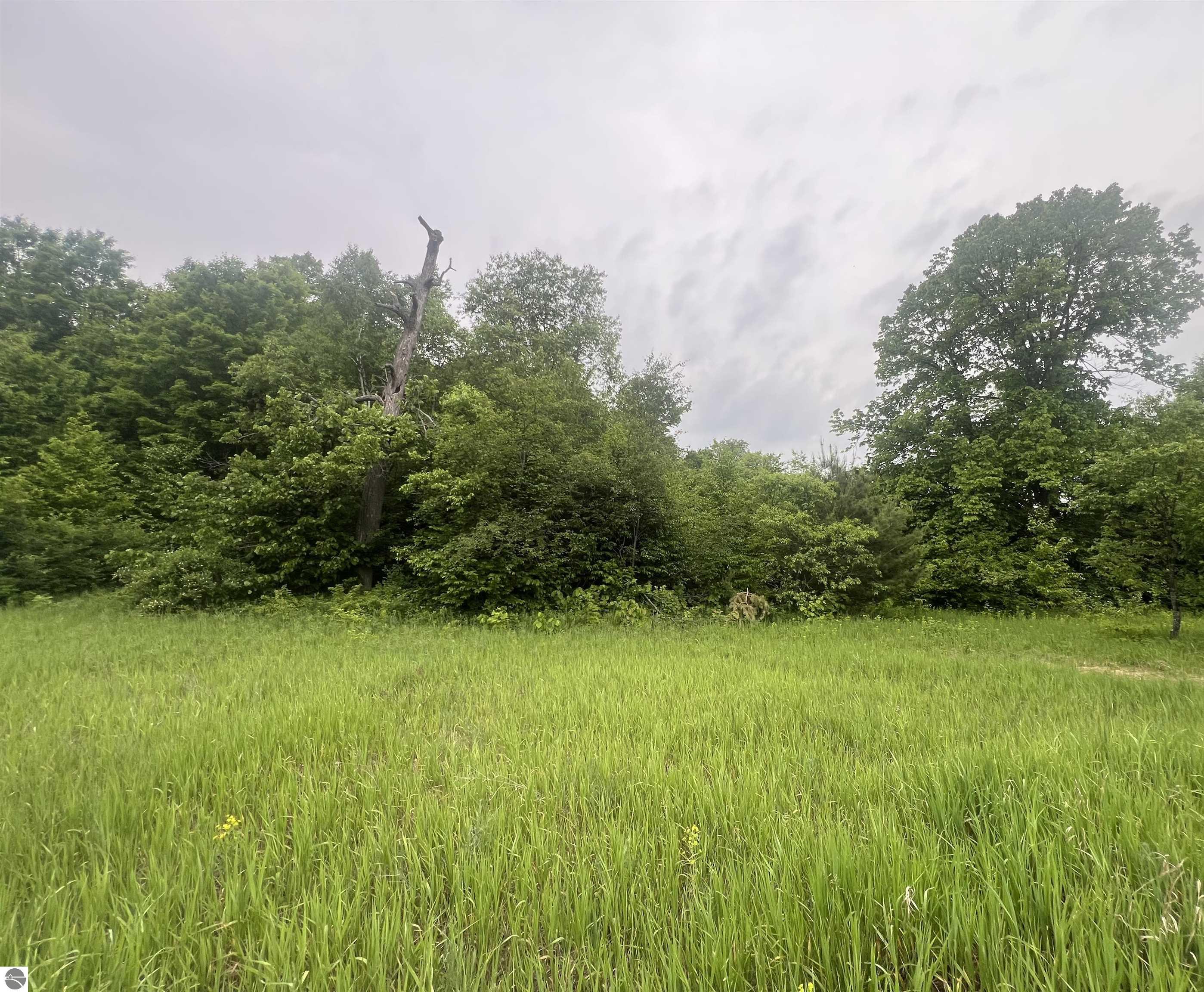Land in Kalkaska 5