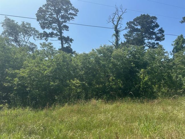 10 Fm 980 S, Home with 0 bedrooms, 0 bathrooms and null parking in Pointblank TX | Image 7