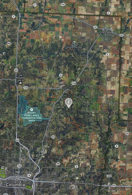 11391 E Hecht Rd, HALLSVILLE, MO, 65255 | Card Image