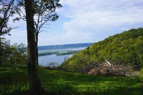 20667 Deer Island View Rd, Eastman, WI, 54626-6100 | Card Image