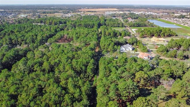 0 Grant Rd, Home with 0 bedrooms, 0 bathrooms and null parking in Cypress TX | Image 6