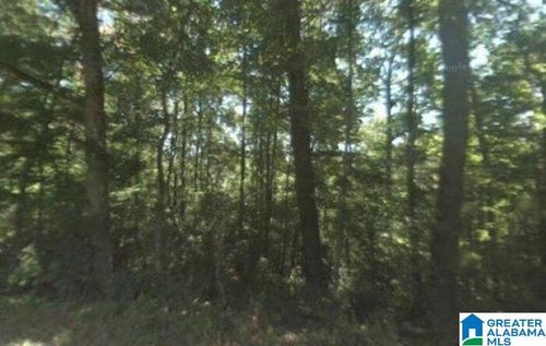0-0 Dorning Rd, Trafford, AL, 35172 | Card Image