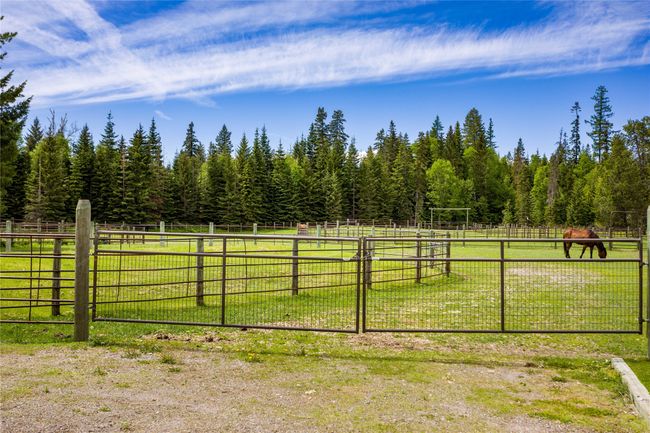 New Fencing | Image 43