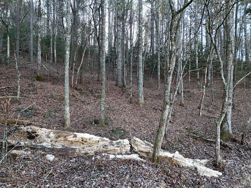Lot 2 Papas Mountain Rd, Blairsville, GA, 30512-7771 | Card Image