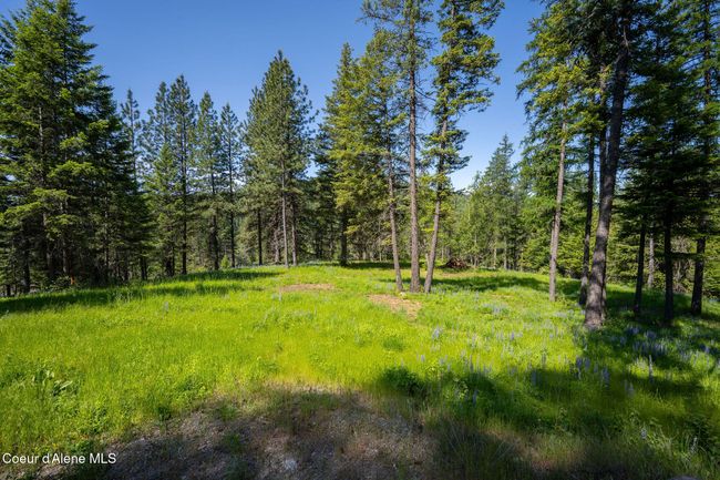 238 Black Sheep Rd, Home with 0 bedrooms, 0 bathrooms and null parking in Hope ID | Image 39