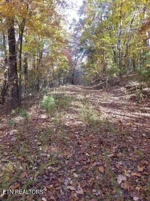 00 Tammy Trl, Spring City, TN, 37381 | Card Image