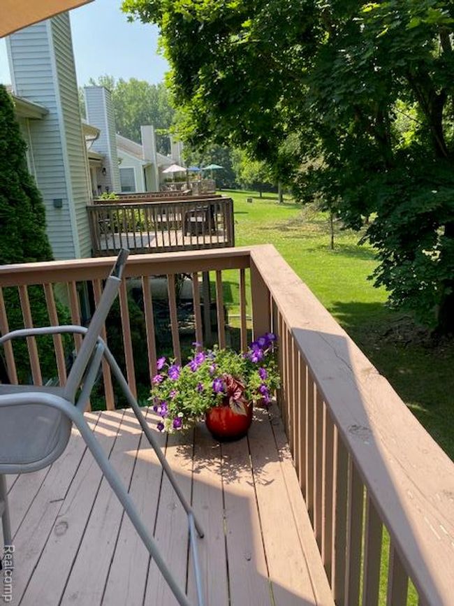 IMG_3723.jpg | Image 6